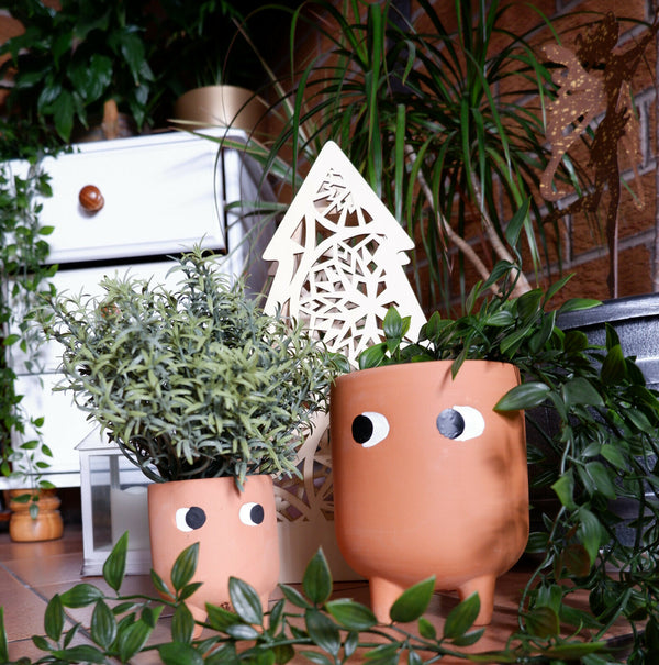 Sass & Belle Leggy Terracotta Planter & Little Leggy Terracotta Planter Set Gift